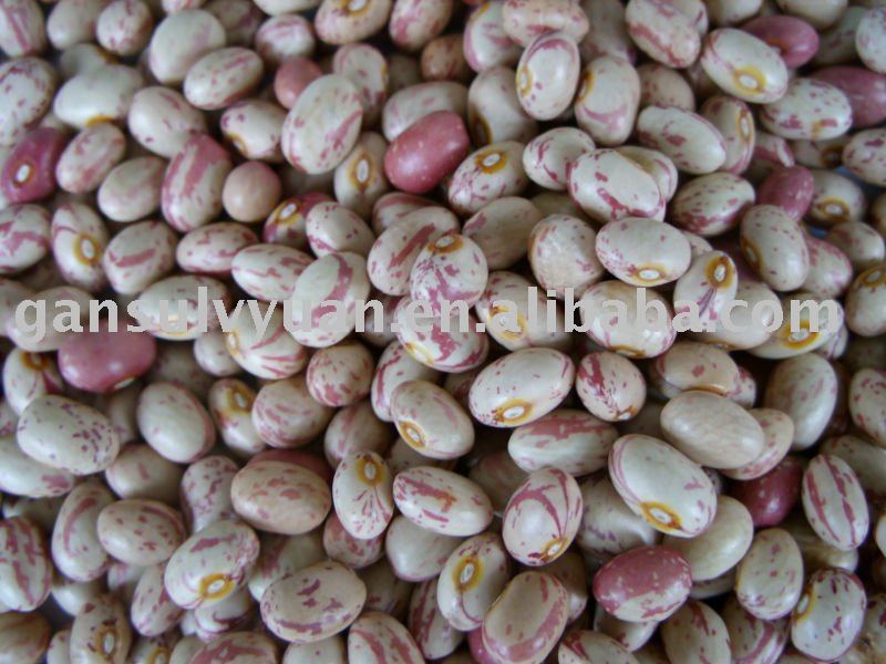 light speckled kidney beans(HUA NAN)