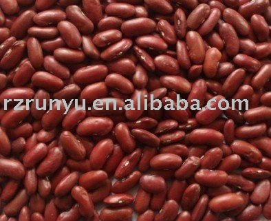 New crop  Chinese   red   kidney   bean 