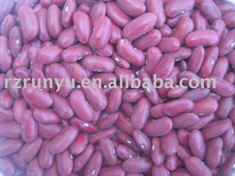 Chinese red type kidney bean