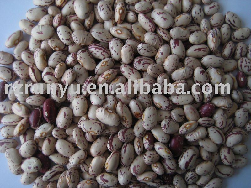 big size light speckled kidney beans