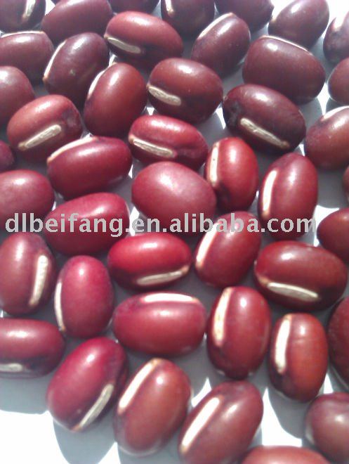 Adzuki Bean for Bean  Paste (2010 crop ,Heilongjiang origin, Hps,  Polish ed)