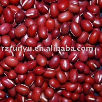 small  red  kidney  bean( small   kidney  bean)