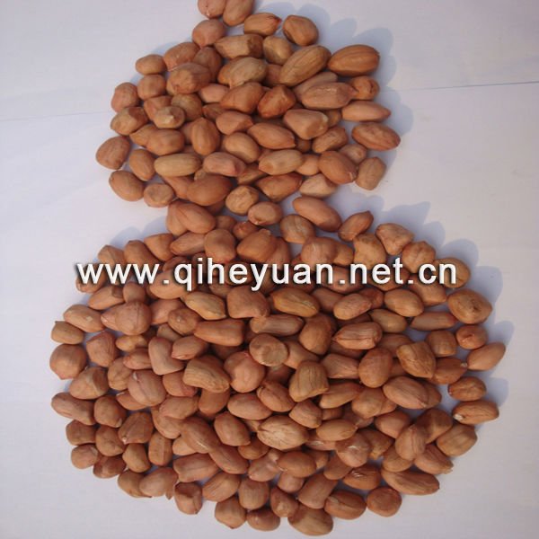 Peanut kernel roundtype