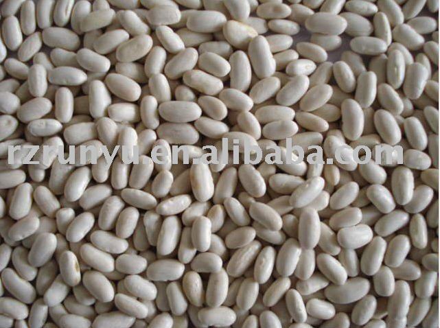 white kidney beans(bashake type white kidney beans)