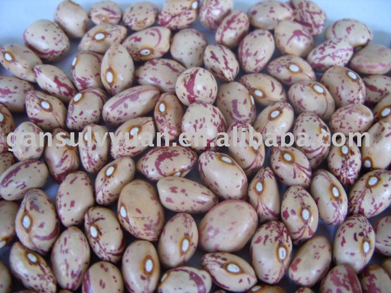 Light Speckled Kidney beans(Xinjiang Round)