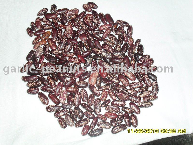 long type  purple   speckled  bean