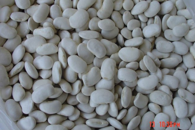 Large White Kidney Beans