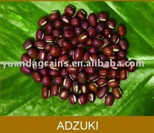  red   mung   bean s
