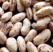 2010 Crop  HPS  Light Speckled Kidney Beans