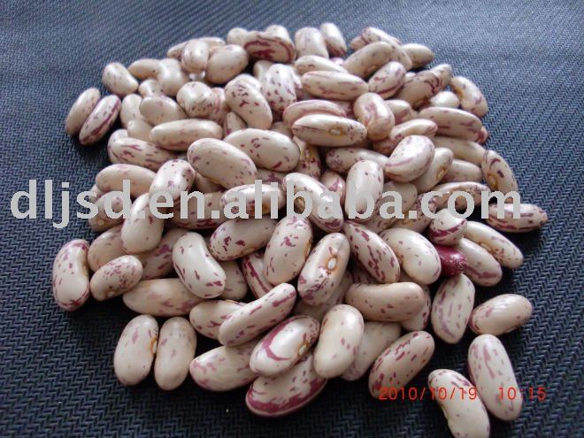 2010 Crop HPS Chinese Light Speckled Kidney Beans