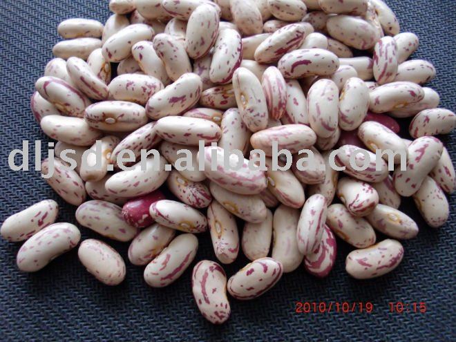 HPS Long Shape Chinese Light Speckled Kidney Beans