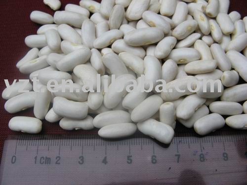 Yunnan white kidney beans