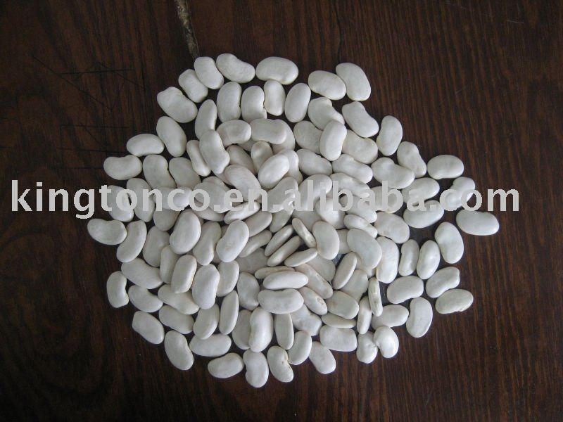 white kidney bean flat shape