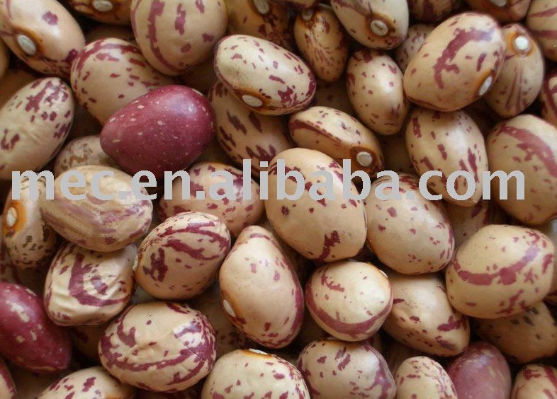 2010 Chinese  HPS  Light Speckled Kidney Beans