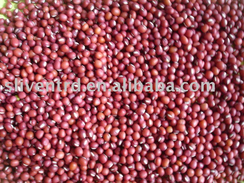  Red   Adzuki   Bean s