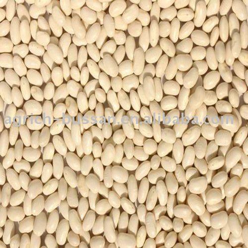  WHITE   SPECKLED   KIDNEY   BEANS 