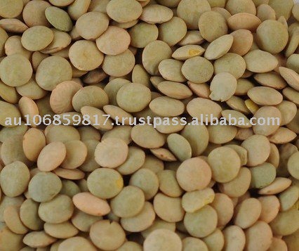 Green  Lentils   Canada  , Large green  lentils   Canada  green  lentils  Richlea green  lentils  Eston green le