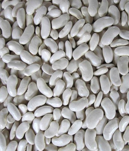  White   Kidney  Benas  Flat   Shape 