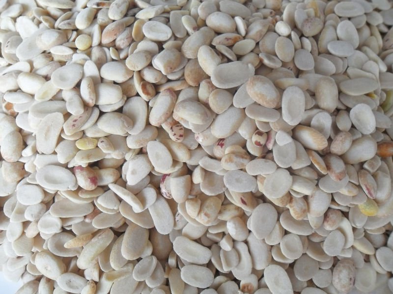 Organic light specked kidney beans  remnant 2010 crops