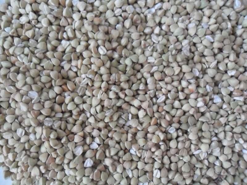 Light specked kidney beans  remnant 2010 crops