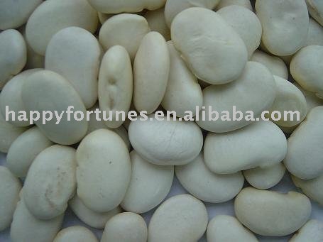  white  kidney  bean s  large   white   bean  kidney  bean  yunnan  bean s pulses