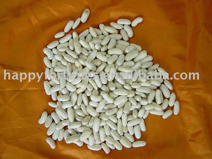 white kidney beans baishake white bean kidney bean dongbei beans pulses