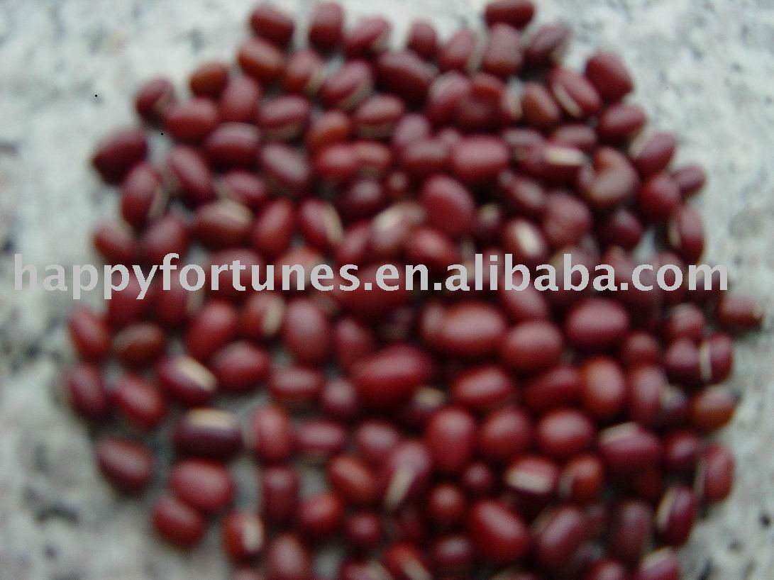 adzuki bean red chouri kidney bean round shape dongbei bean  can ned bean pulses