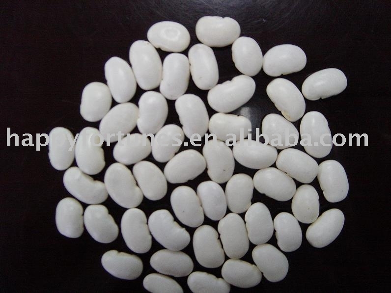 large white kidney beans white kidney bean kidney bean donbei bean pulses