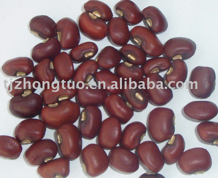  red   cowpeas 