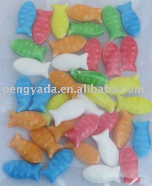 fish model  fruit  candy