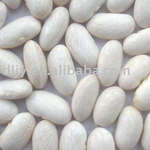 New Crop  White   Beans   Baishake   type 