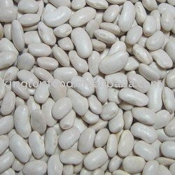 Large White Kidney Beans