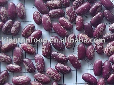 Chinese  Purple   speckled   bean s