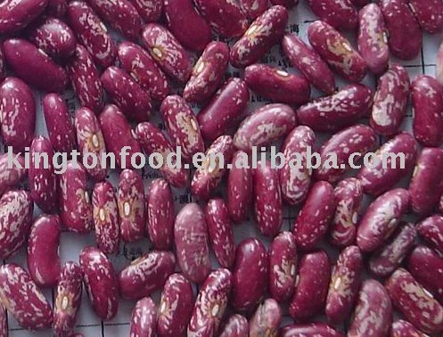 Red Speckled Bean