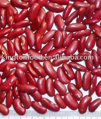 British   Type   Red   Kidney   Bean 