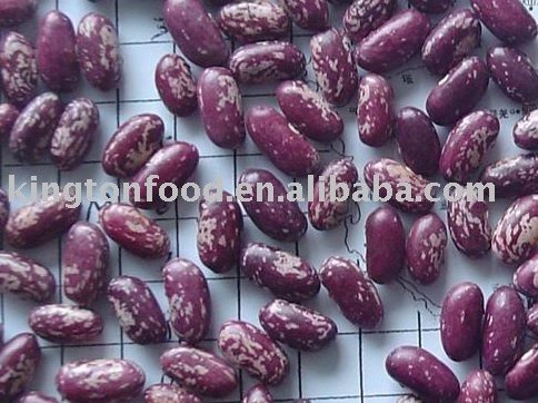 Chinese Purple speckled kidney beans