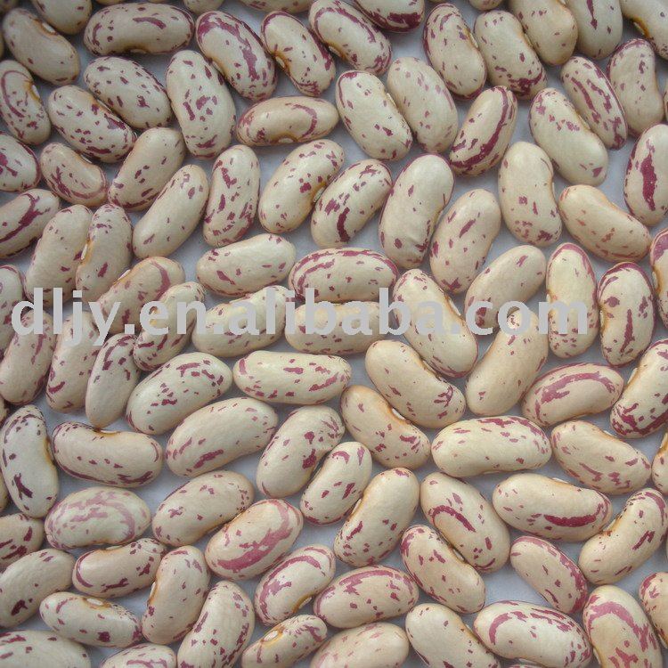 yian light speckled kidney beans