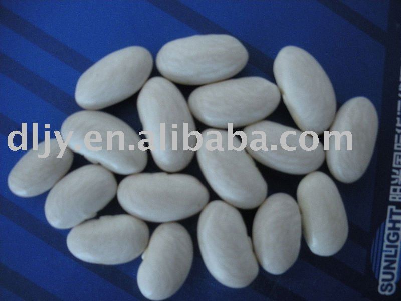 Beans Alubia(Baishake)