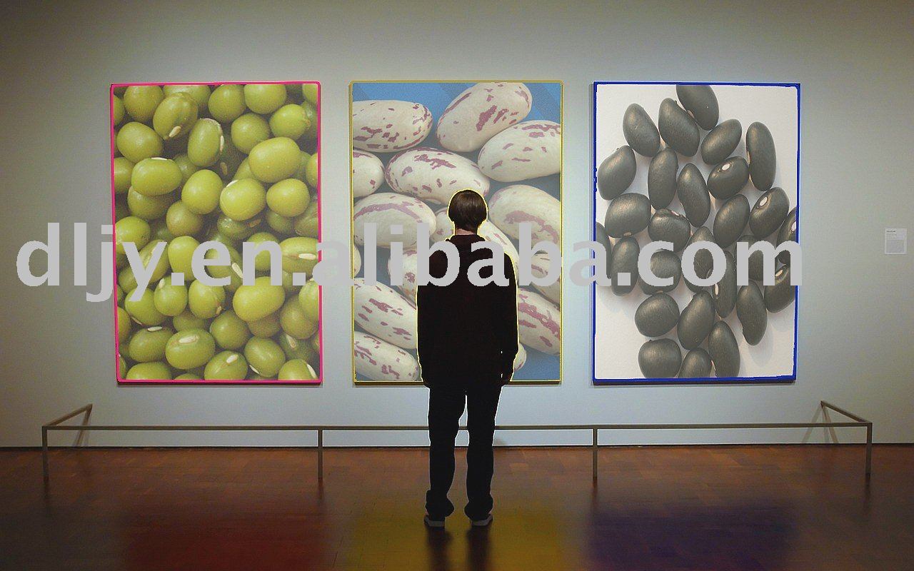 All kinds of Kidney Beans 2010
