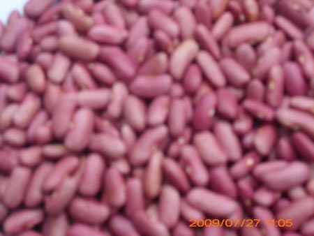 light red kidney bean