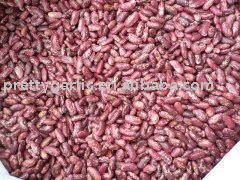 chinese  speckled  kidney  beans    light  purple  red  color