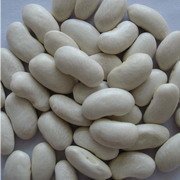 Medium Type White Kidney Beans