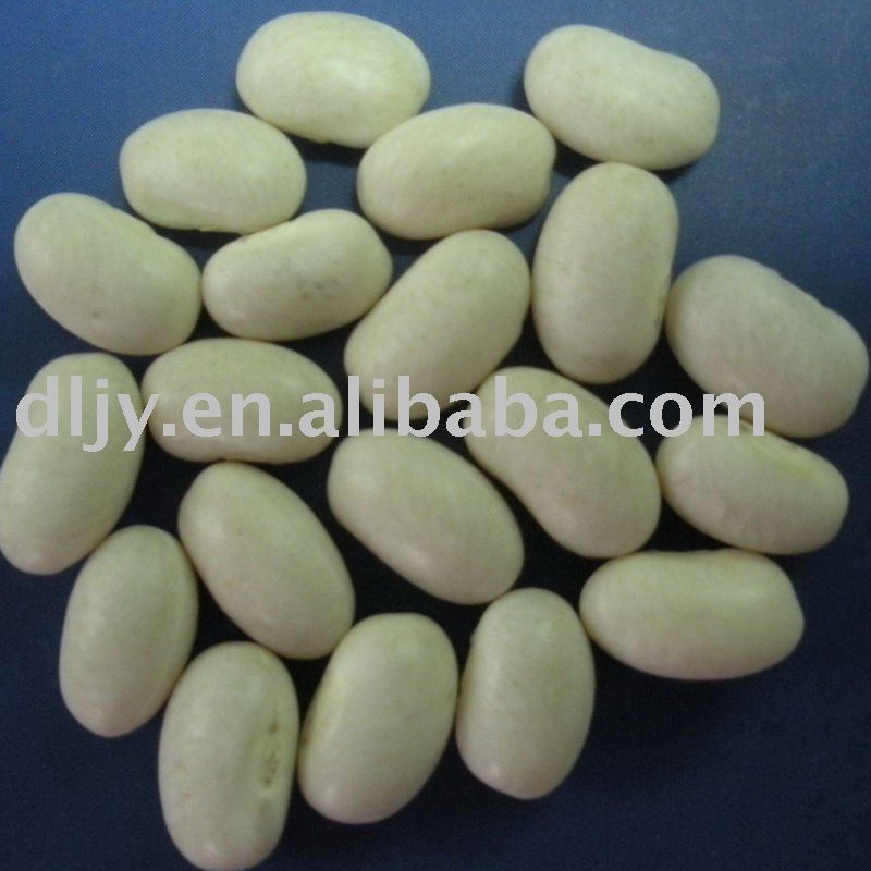 New Crop Japanese Type White Kidney Beans