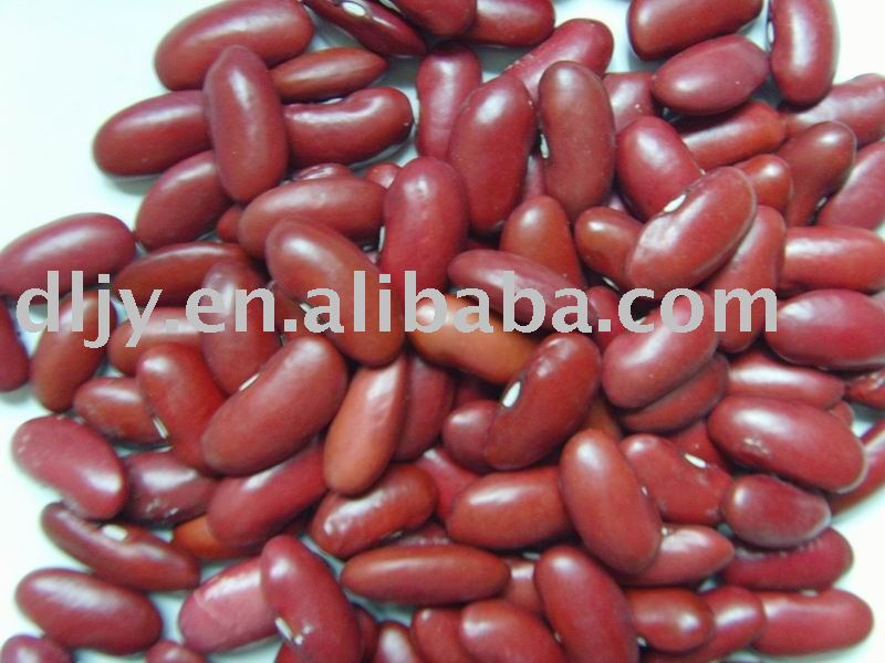  Light   Red   Beans  Crop 2010