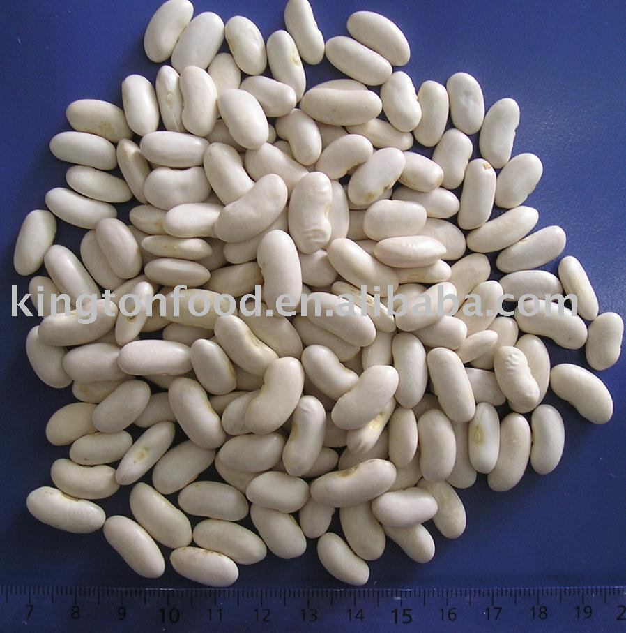 New crop white kidney beans