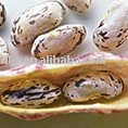 2009 New Crop  Light Speckled kidney beans