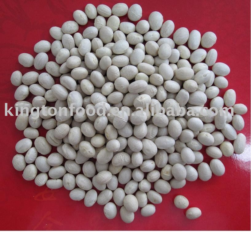  Round   shape   white   kidney   beans 