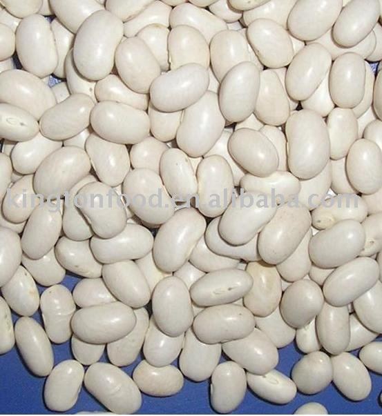 New crop small white beans oval shape