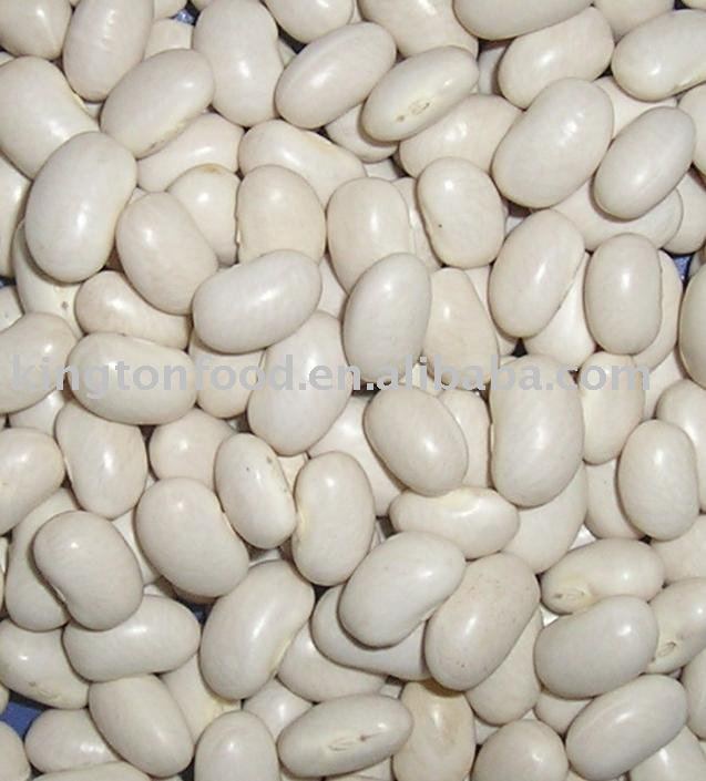 New crop small white beans