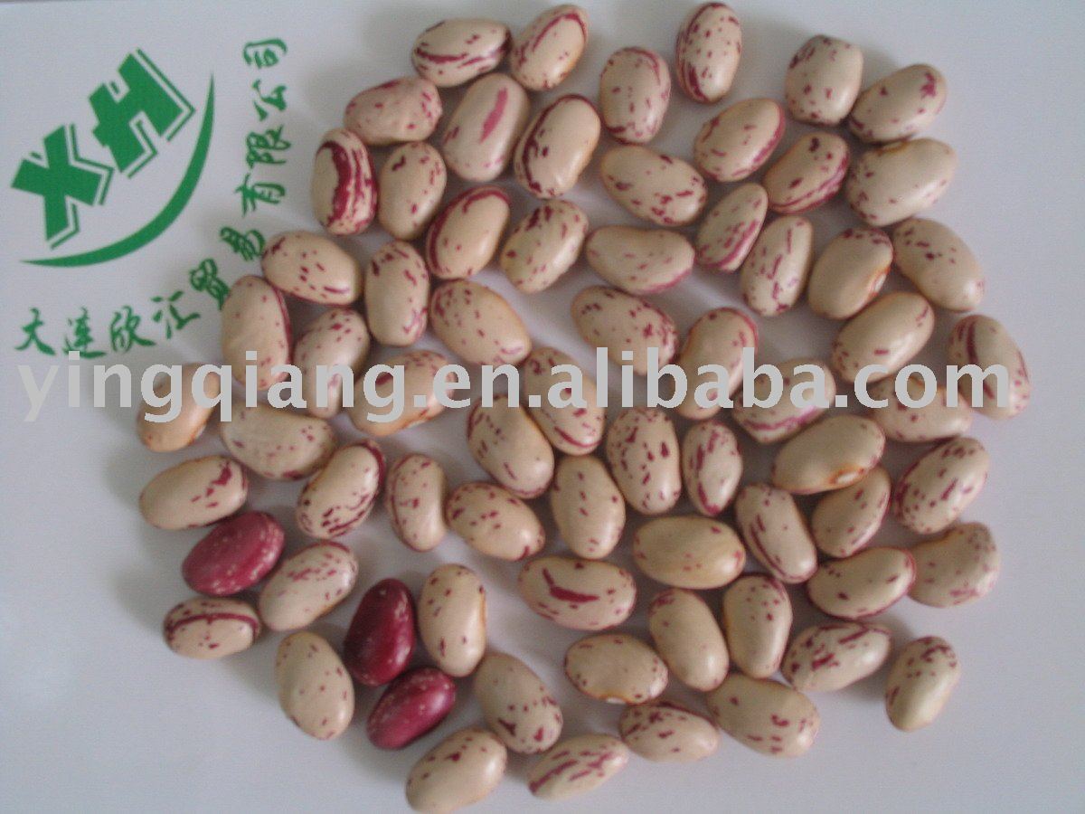 Chinese milk kidney beans